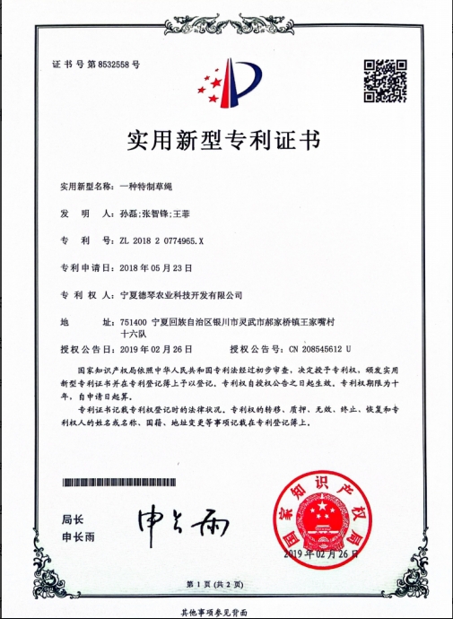 宁夏国产麻豆有码视频免费观看子
