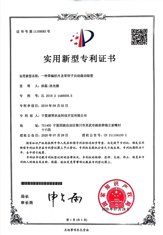 宁夏麻豆精品在线视频子