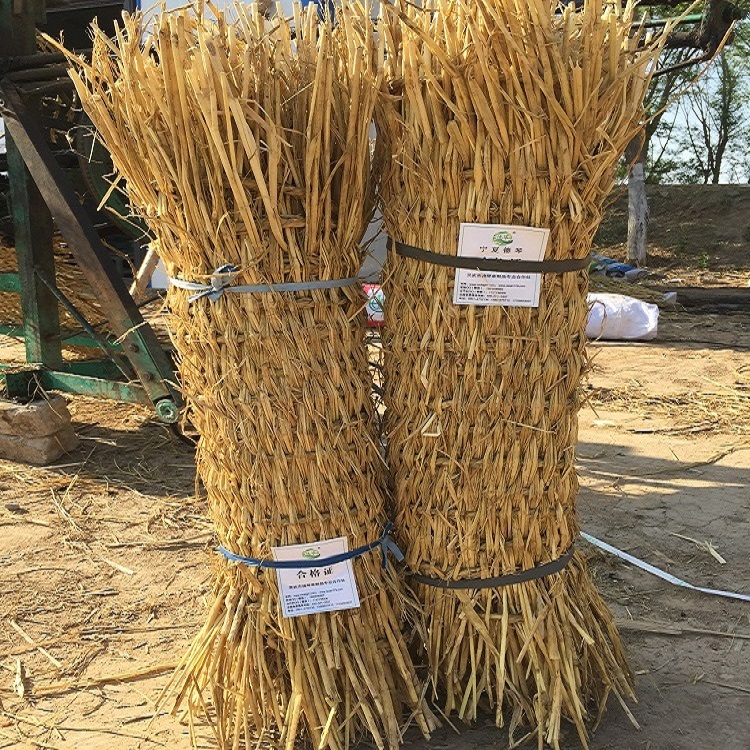 宁夏麻豆精品在线视频子